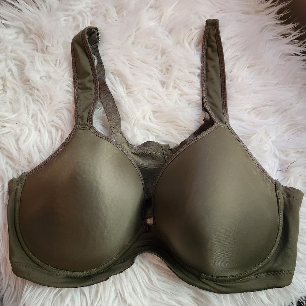 Ashley Stewart Butterfly vra